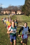 IMG_2646.jpg