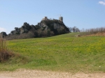 124.jpg