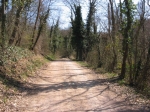 148.jpg