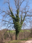 150.jpg