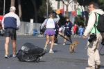 Filename=287.jpg
Filesize=156KiB
Dimensions=1016x678
Date added=Mar 23, 2009 287.jpg