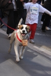 Filename=374.jpg
Filesize=114KiB
Dimensions=678x1016
Date added=Mar 23, 2009 374.jpg