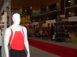 1037.jpg