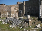 IMG_6477.jpg
