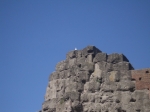 roma_098.jpg