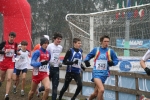 IMG_4040.JPG