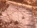 Filename=cimg7274.jpg
Filesize=238KiB
Dimensions=1016x762
Date added=Feb 27, 2009 cimg7274.jpg
