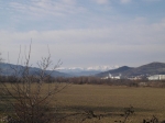 IMG_185.jpg