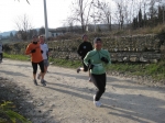 IMG_3806.jpg