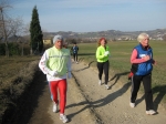 IMG_3910.jpg