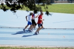DSC07036.jpg