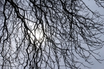 DSC07150.jpg