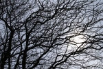 DSC07151.jpg