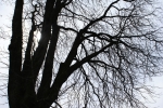 DSC07152.jpg