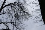 DSC07153.jpg