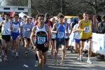 IMG_1256.JPG