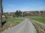 IMG_5525.jpg
