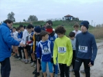 Filename=HPIM8001.jpg
Filesize=141KiB
Dimensions=1000x748
Date added=Jan 12, 2009 HPIM8001.jpg