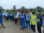 Filename=HPIM8004.jpg
Filesize=160KiB
Dimensions=1000x748
Date added=Jan 12, 2009 HPIM8004.jpg