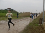 Filename=HPIM8009.jpg
Filesize=142KiB
Dimensions=1000x748
Date added=Jan 12, 2009 HPIM8009.jpg
