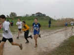 Filename=HPIM8011.jpg
Filesize=137KiB
Dimensions=1000x748
Date added=Jan 12, 2009 HPIM8011.jpg