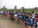 Filename=HPIM8046.jpg
Filesize=147KiB
Dimensions=1000x748
Date added=Jan 12, 2009 HPIM8046.jpg