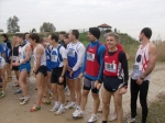Filename=HPIM8193.jpg
Filesize=157KiB
Dimensions=1000x748
Date added=Jan 12, 2009 HPIM8193.jpg