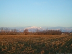 Filename=NC_Zanica_Foto_F_Dellapiana_27.jpg
Filesize=152KiB
Dimensions=1000x750
Date added=Dec 26, 2008 NC_Zanica_Foto_F_Dellapiana_27.jpg