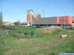 FerraraMarathon_Foto_F_Dellapiana031.jpg