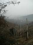 mon_09_033.jpg