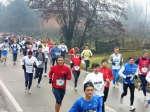 P1050643.jpg
