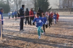IMG_0060.JPG
