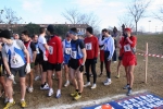 IMG_0517.JPG