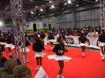 DSCF4373.jpg