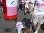 Filename=HPIM8495.jpg
Filesize=89KiB
Dimensions=1016x760
Date added=May 25, 2009 HPIM8495.jpg