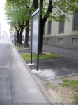 Misurazione_percorso_24H_Foto_F_Dellapiana_36.jpg