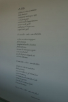 DSC00389.jpg