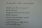 DSC00391.jpg