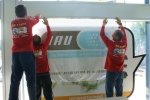 DSC00403.jpg