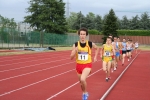IMG_6884.jpg