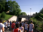 CIMG0342.jpg