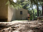 SDC10467.jpg