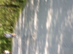 Filename=tn_STA71530.JPG
Filesize=23KiB
Dimensions=640x480
Date added=Sep 01, 2009 tn_STA71530.JPG