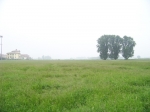 100_2334.jpg