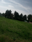 CIMG0038.jpg