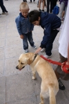 DSC04743.jpg