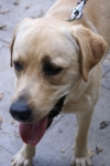 DSC04747.jpg