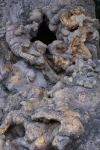 DSC04758.jpg