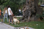 DSC04761.jpg
