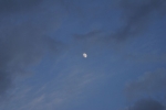DSC05023.jpg